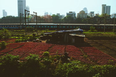 High angle view of buildings in city