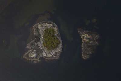 High angle view of rock on land