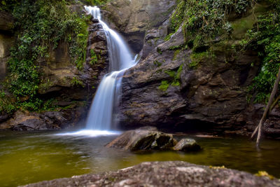 Scenic view of waterfall in forest