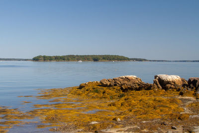 Scenic view of sea against clear sky