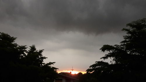 Low angle view of silhouette trees against sky during sunset