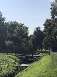 Footpath by trees against clear sky