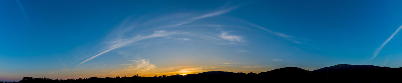 Low angle view of silhouette trees against blue sky