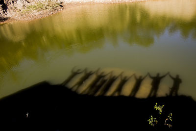 Reflection of trees on lake at sunset