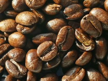 Seed cooking form brazil