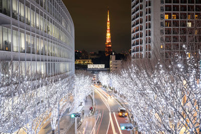 Illuminated tree on street amidst buildings in city at night