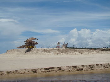 Horse on shore against sky