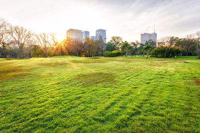 View of park with buildings in background