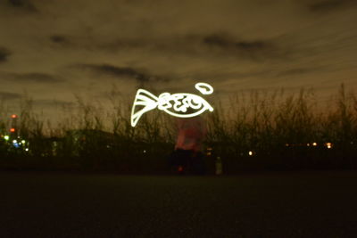 Person standing by illuminated field at night