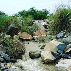 Stream flowing through rocks