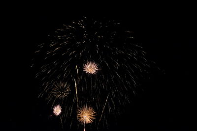 Low angle view of firework display