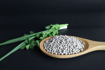 Close-up of fresh vegetables against black background