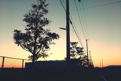 Silhouette of trees at sunset