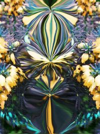 Full frame shot of yellow flowers