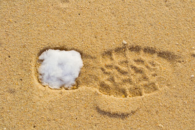 High angle view of snow on shoe print in sand