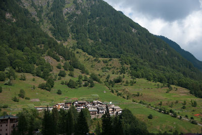 High angle view of trees and houses against sky