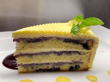 Close-up of cake in plate