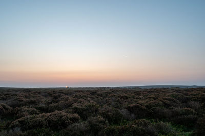 Scenic view of field against clear sky during sunset