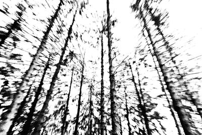 Low angle view of bare trees against sky