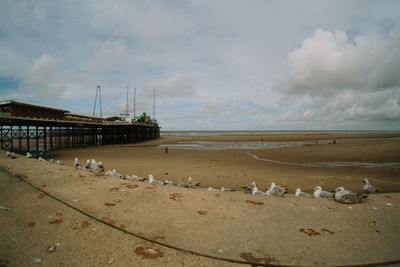 Scenic view of beach against sky