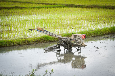 Bicycle on agricultural field