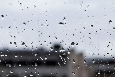 Full frame shot of raindrops on glass window