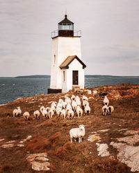 View of lighthouse by sea against sky