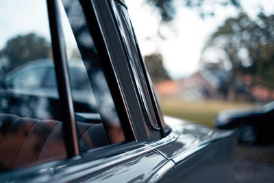 Close-up of car against trees