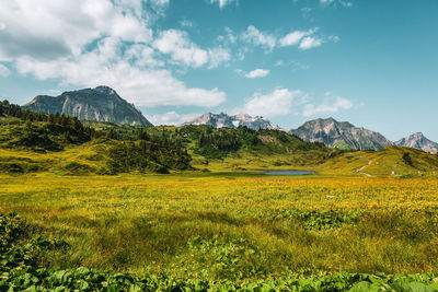 Scenic view of field against sky