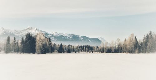 Scenic view of landscape against sky during winter