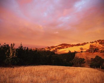 Scenic view of field against romantic sky at sunset