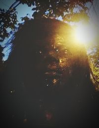 Sun shining through trees