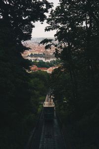 High angle view of bridge amidst trees in forest