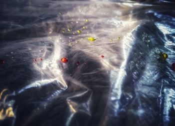 High angle view of people swimming in sea