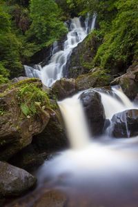 Scenic view of waterfall in forest