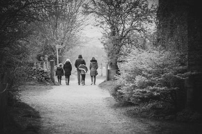 Rear view of people walking on road in forest