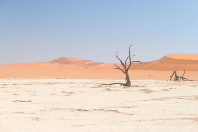 View of a desert