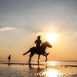 Silhouette people riding on beach against sky during sunset