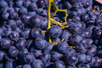 Full frame shot of grapes