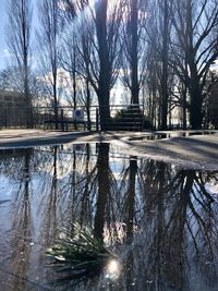 Reflection of bare trees in lake against sky