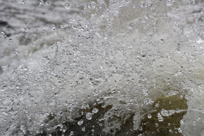 Close-up of water drops on ground