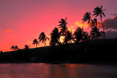 Silhouette palm trees by sea against orange sky