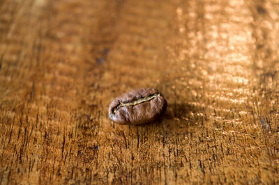 High angle view of coffee bean on wooden table
