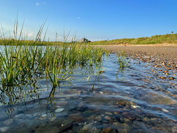 Scenic view of water on field against clear sky