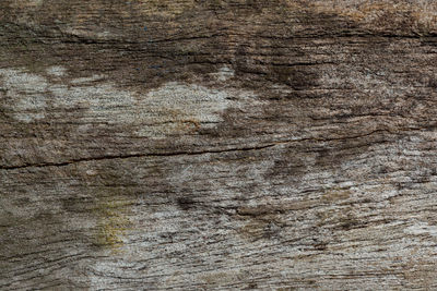 Full frame shot of weathered wooden plank