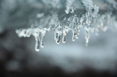 Close-up of frozen water on a bridge