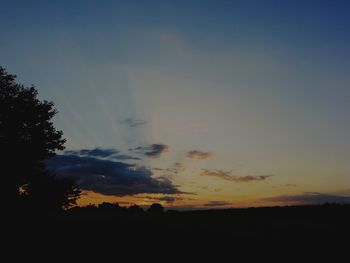 Silhouette trees on field against sky at sunset