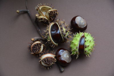 Close-up of chestnuts on table