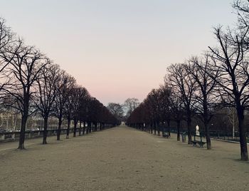 Footpath amidst bare trees against clear sky