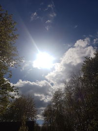 Low angle view of trees against sky